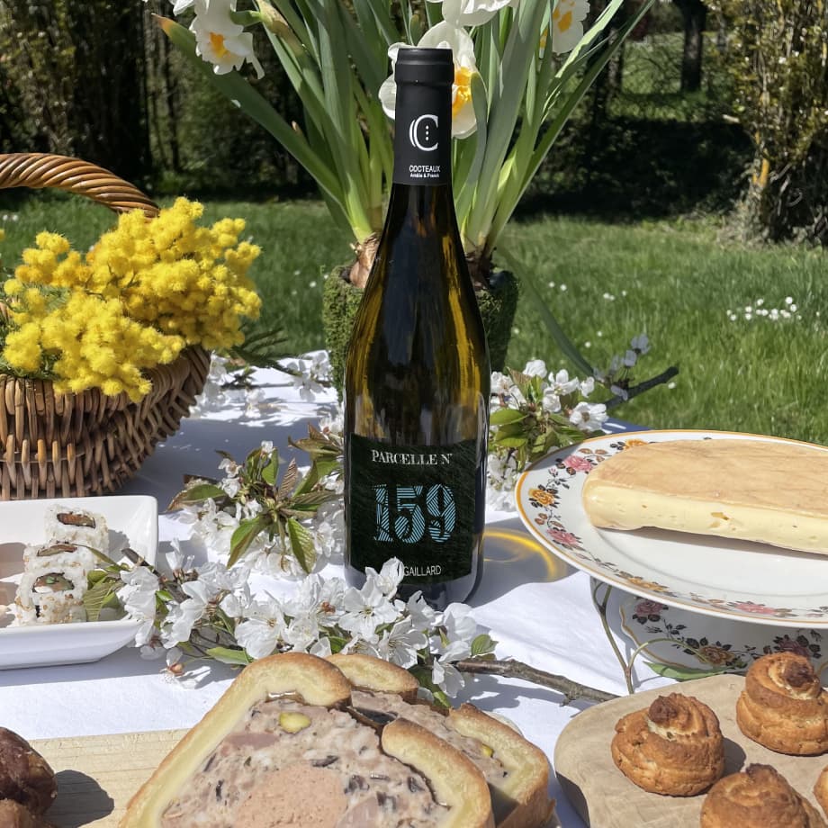 PARCELLE N°159
